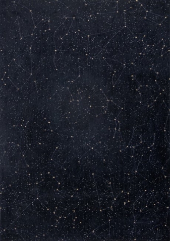 CHRISTIAN FISCHBACHERcelestial-night-sky-9059.jpg