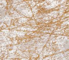 stellar-astro-gold-9216.jpg